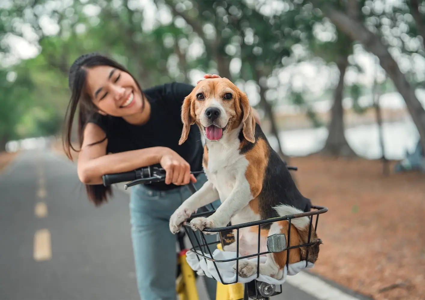A cyclist's best friend: how to cycle safely with your dog